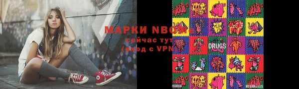 индика Ельня