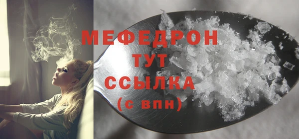 индика Ельня