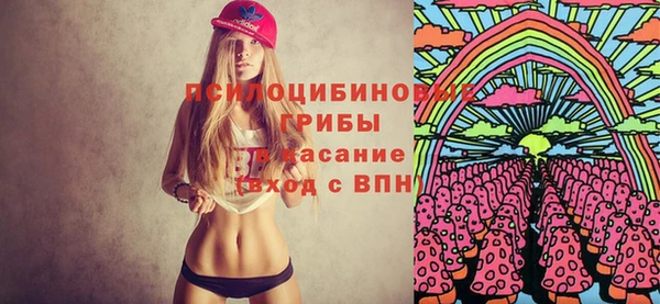 мдма Елизово