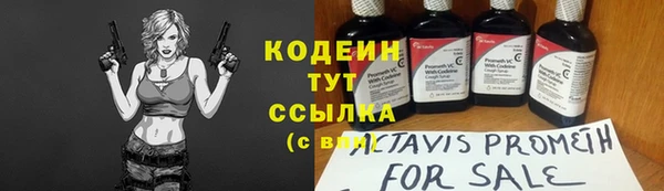 индика Ельня