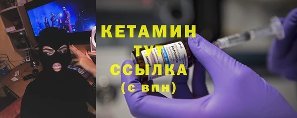 индика Ельня