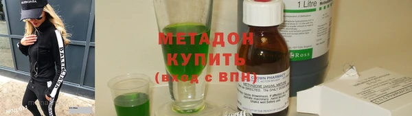 индика Ельня