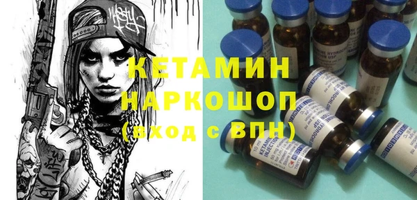 индика Ельня