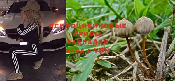мдма Елизово