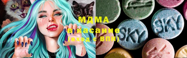 индика Ельня