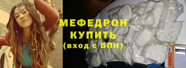 индика Ельня