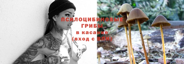не бодяженный Дмитров